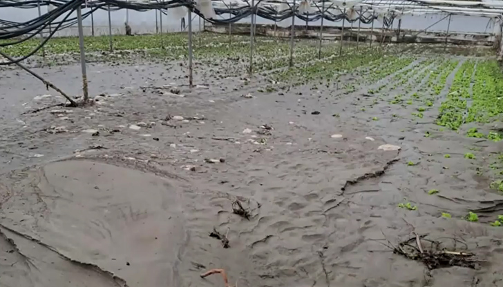 Земеделци губят поминъка си след водното бедствие в Ново Делчево