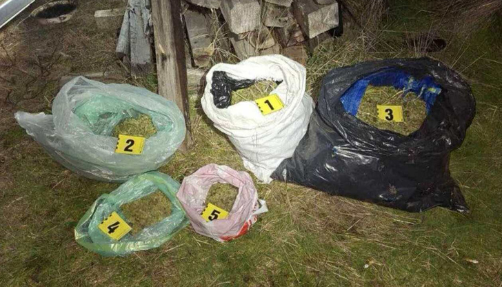Задържаха перничанин с 8 килограма марихуана при спецакция в Бобов дол