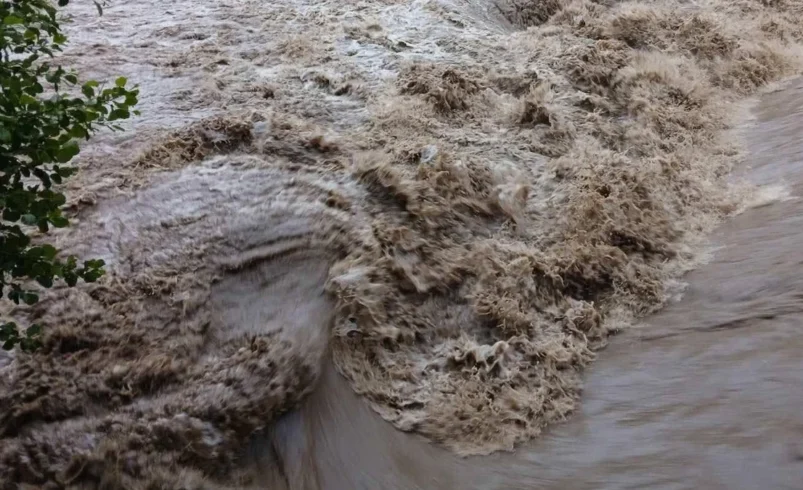 Шофьор бедства на пътя край село Деветаки