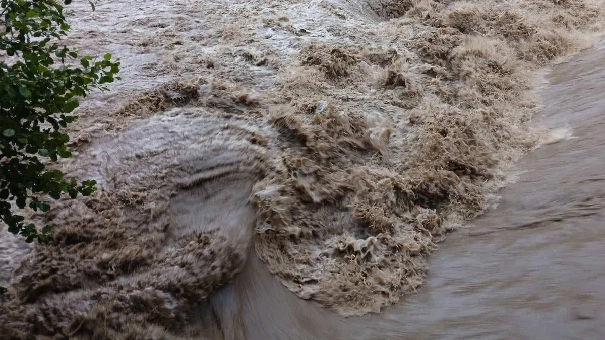 Шофьор бедства на пътя край село Деветаки