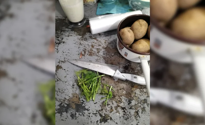 Затвориха пълна с насекоми хотелска кухня в Равда